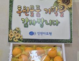 1월 17일  법인 후원